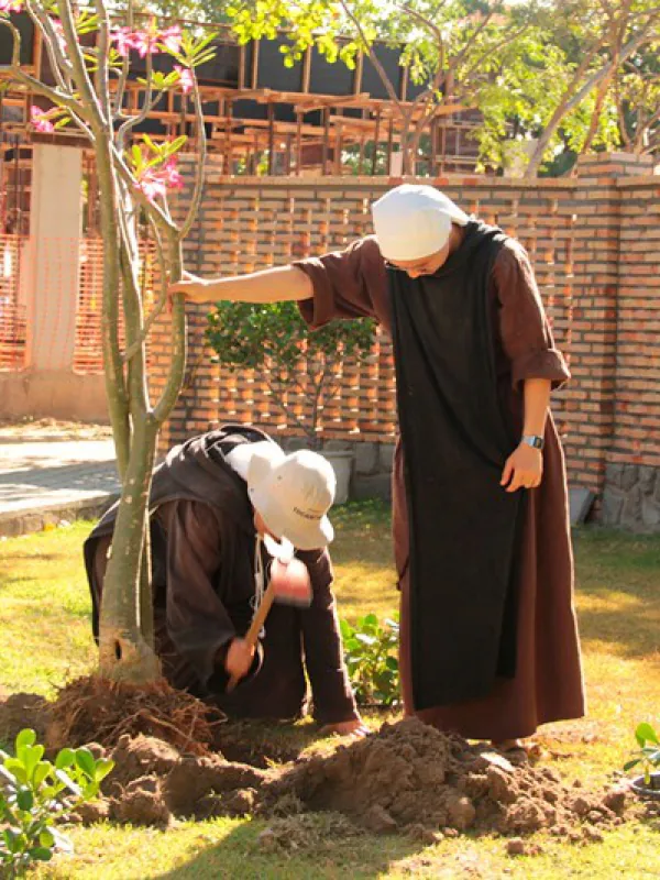 Irmãs plantando uma árvore no jardim da casa