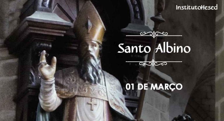 Santo Albino