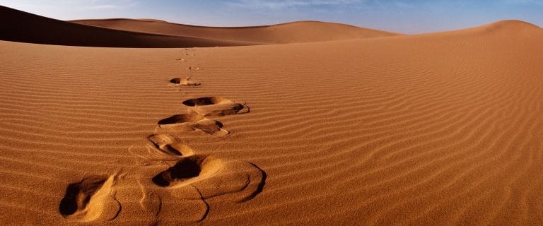 O Precursor: Preparai os caminhos do Senhor